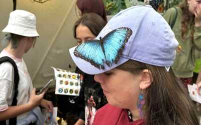 Obóz młodzieżowy, Jastrzębia Góra - Ekspresem do Hogwartu LEVEL 2 OW Diuna, 10 dni 9-14 lat